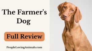 the farmer's dog review