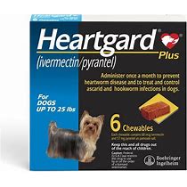 Heartworm Prevention for Dogs