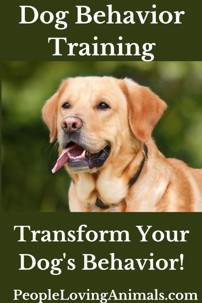 Dog Behavior Training Transform Your Dog's Behavior!