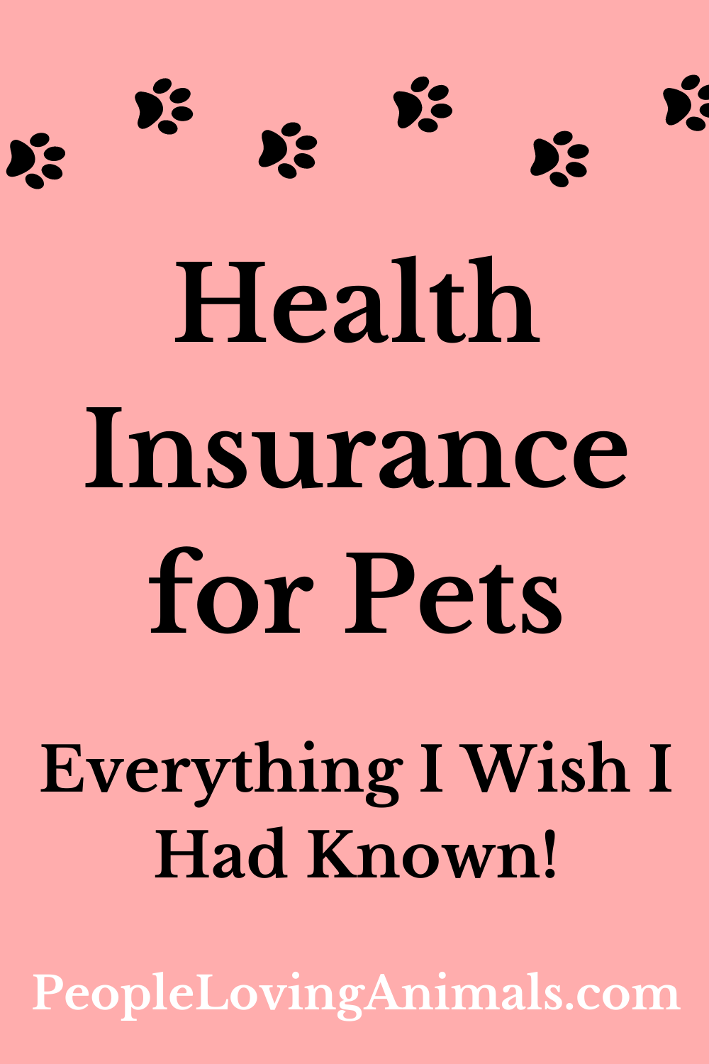 Health Insurance for Pets Everything I Wish I Had Known!