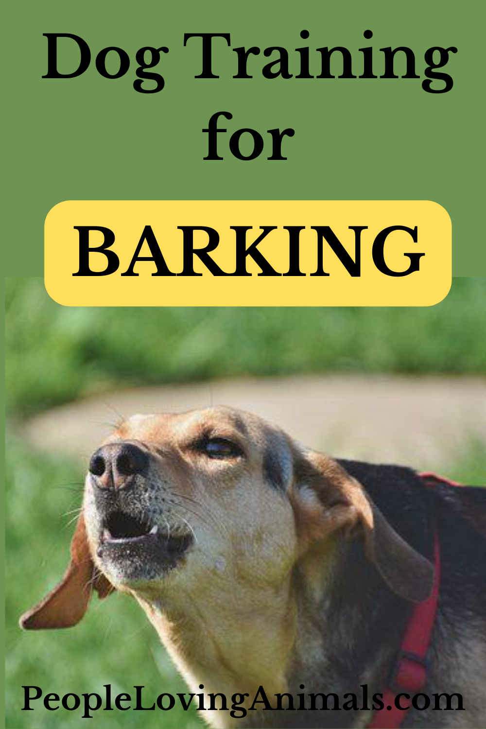 Dog Training for Barking The Dog Calming Code