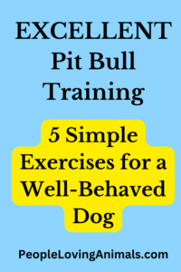 pit bull training