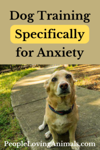 dog training for anxiety