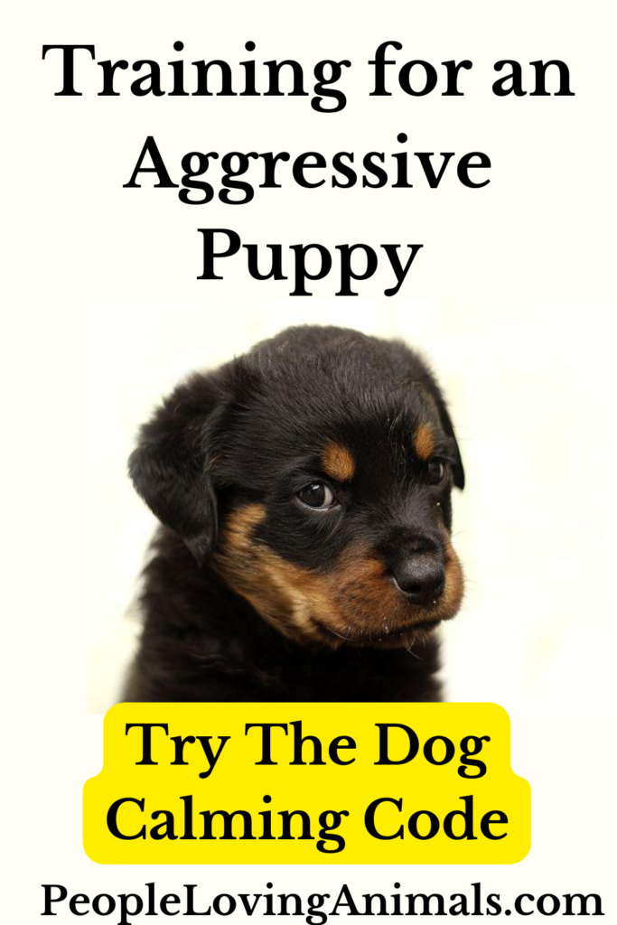 Training for Aggressive Puppy The Dog Calming Code