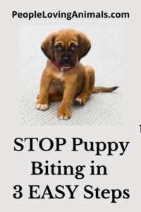 stop puppy biting