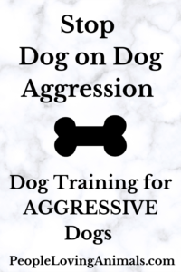 stop dog on dog aggression