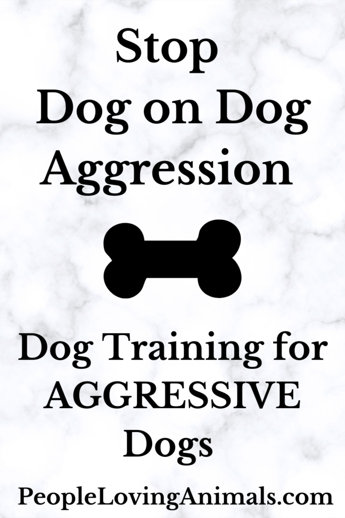 Stop Dog on Dog Aggression The Dog Calming Code