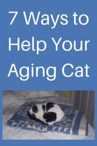 how to help an aging cat