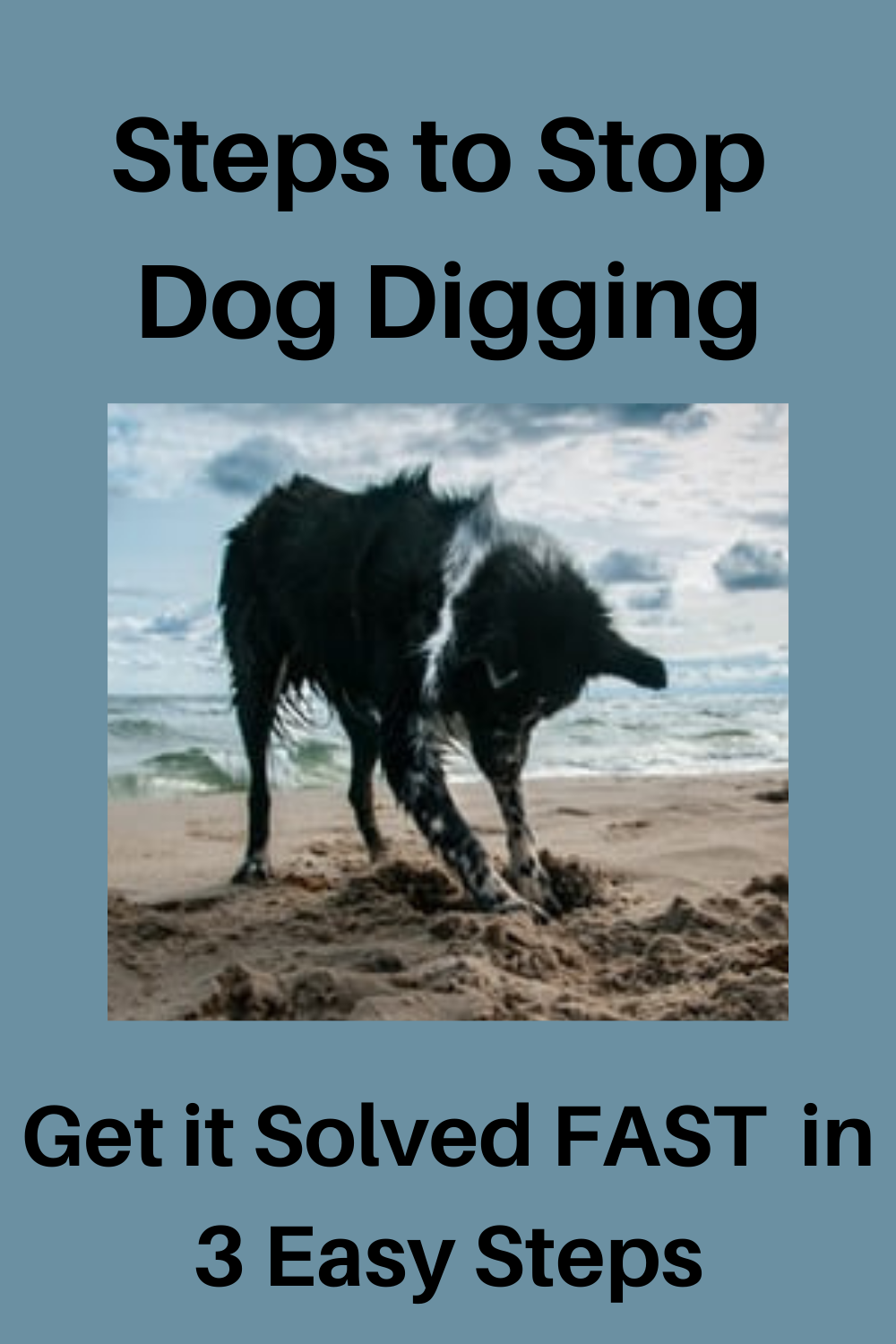 How To Stop Dog Digging In 3 Easy Steps - (Seriously...)