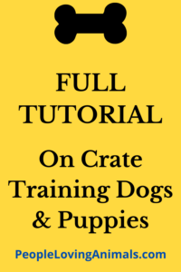 crate training for a puppy