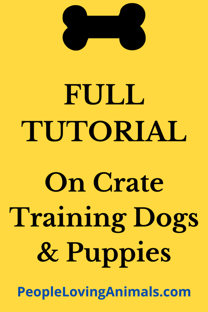 Should Dogs Be Crate Trained? StepbyStep Tutorial