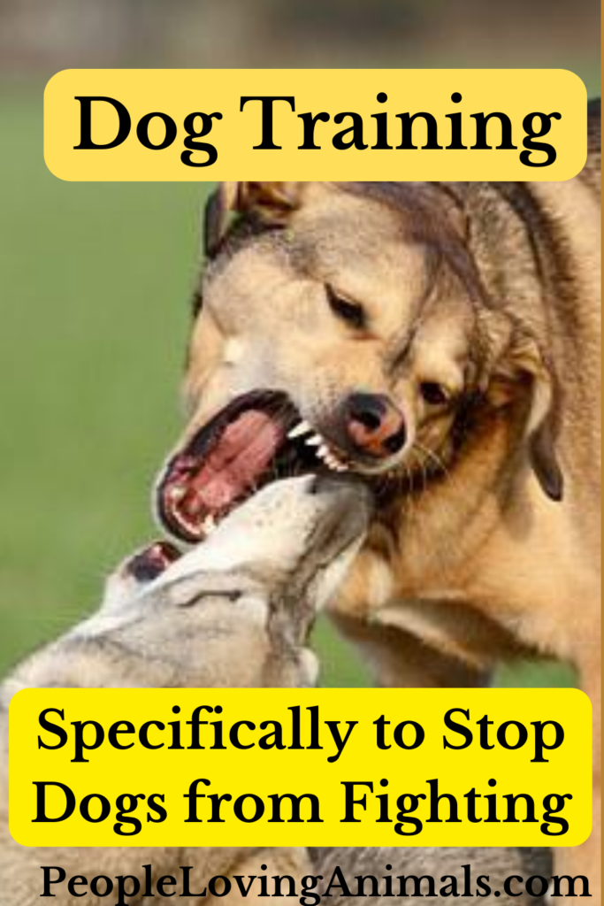 Stop Dogs Fighting - The Dog Calming Code