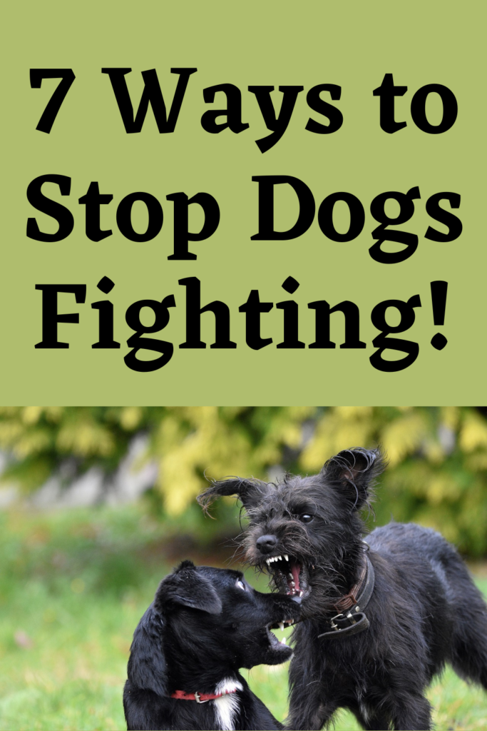 Stop Dogs Fighting - The Dog Calming Code