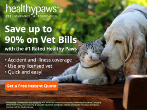 cat health insurance
