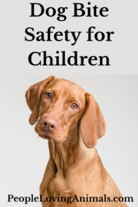 dog bite safety for children