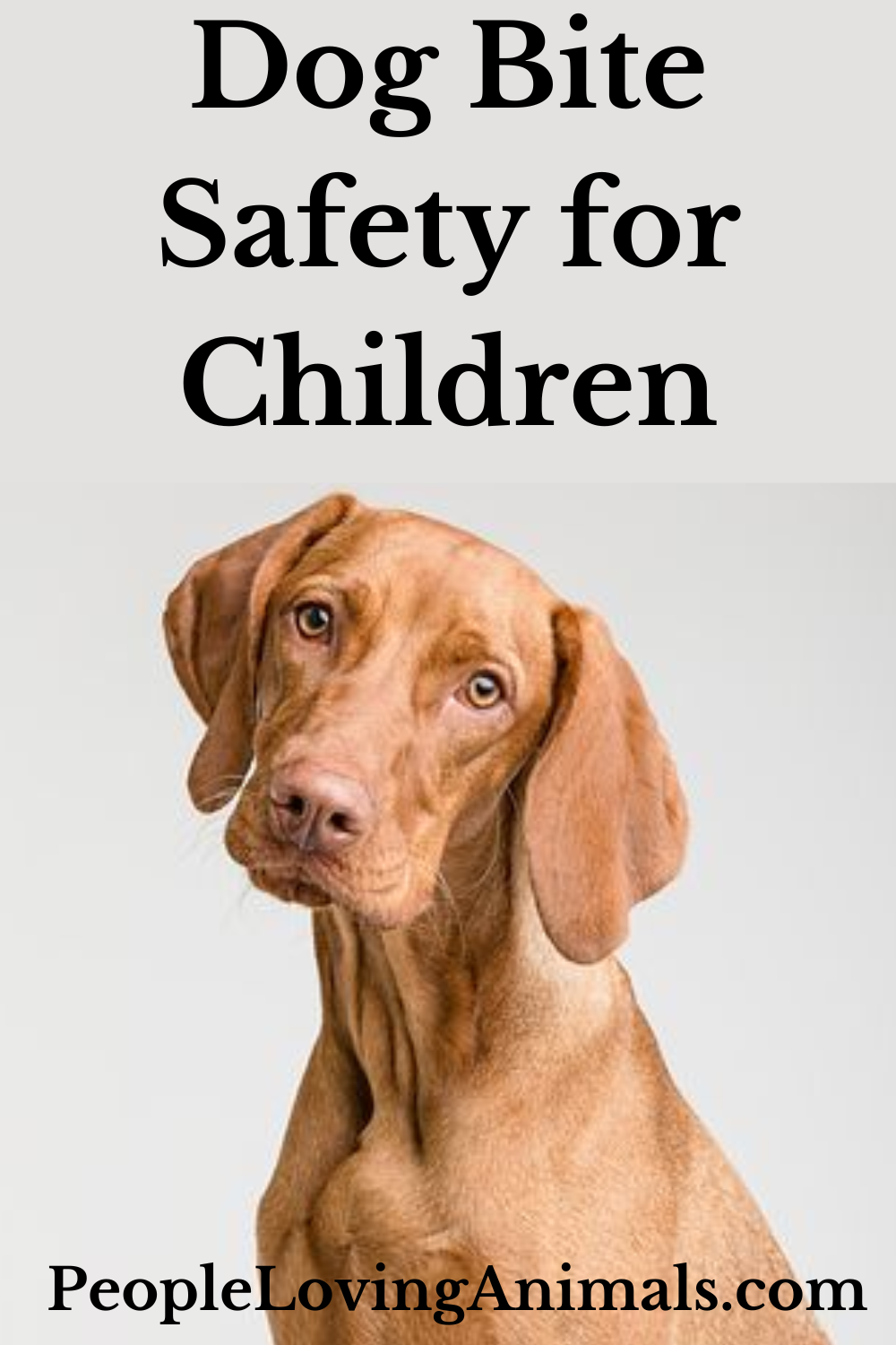 Dog Bite Safety for Children - Step-by-Step Instructions