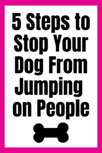 how to stop a dog from jumping on people