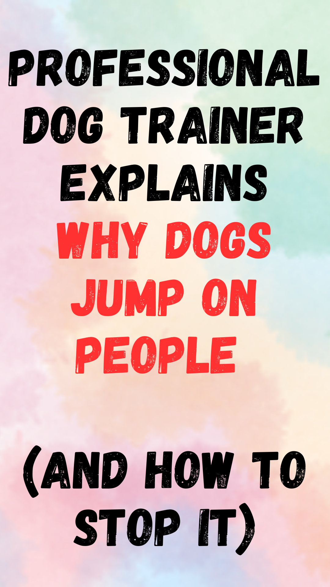 How to Stop a Dog from Jumping on People Easy Tutorial