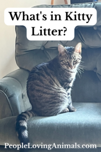 what's in kitty litter?