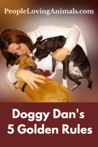 Doggy Dan's 5 Golden Rules