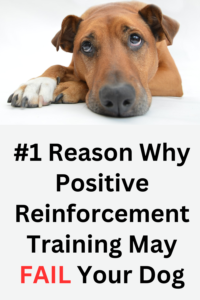 positive reinforcement training for dogs