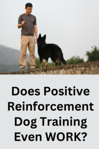 does positive reinforcement dog training work?