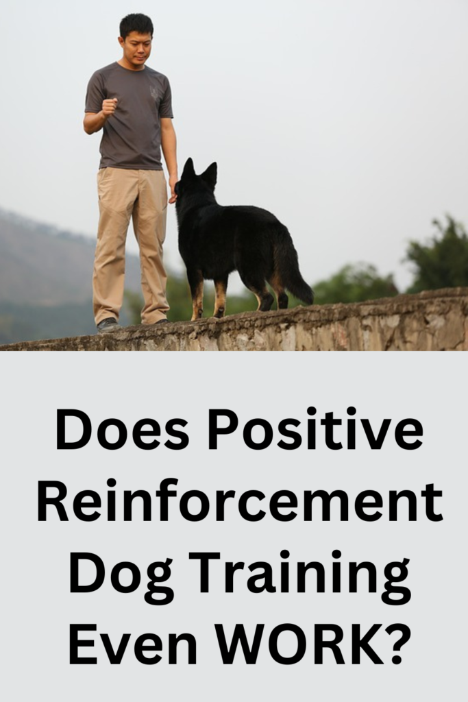 Why Positive Reinforcement Training May Fail Your Dog