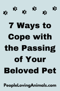 Coping with Pet Loss