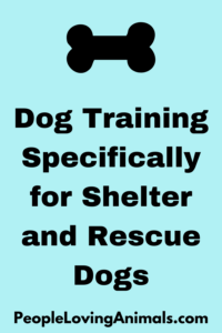 Dog Training for Shelter and Rescue Dogs