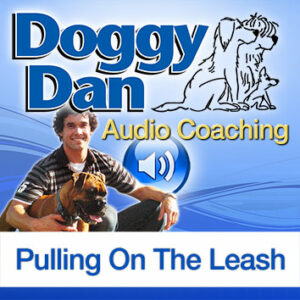 dog leash pulling podcase