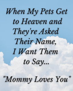 do animals go to heaven