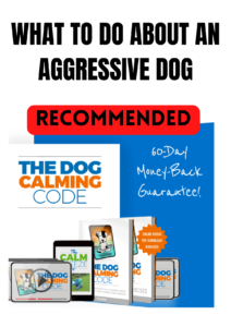 What to Do About an Aggressive Dog