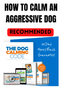 HOW TO CALM AN AGGRESSIVE DOG