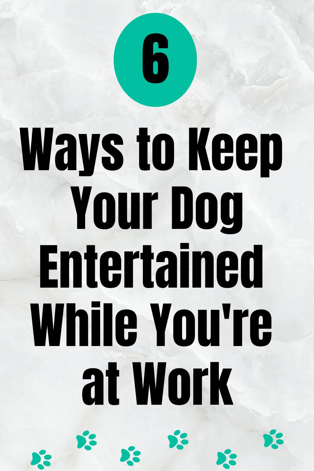Keeping Pets Entertained While at Work Tips for Dogs & Cats