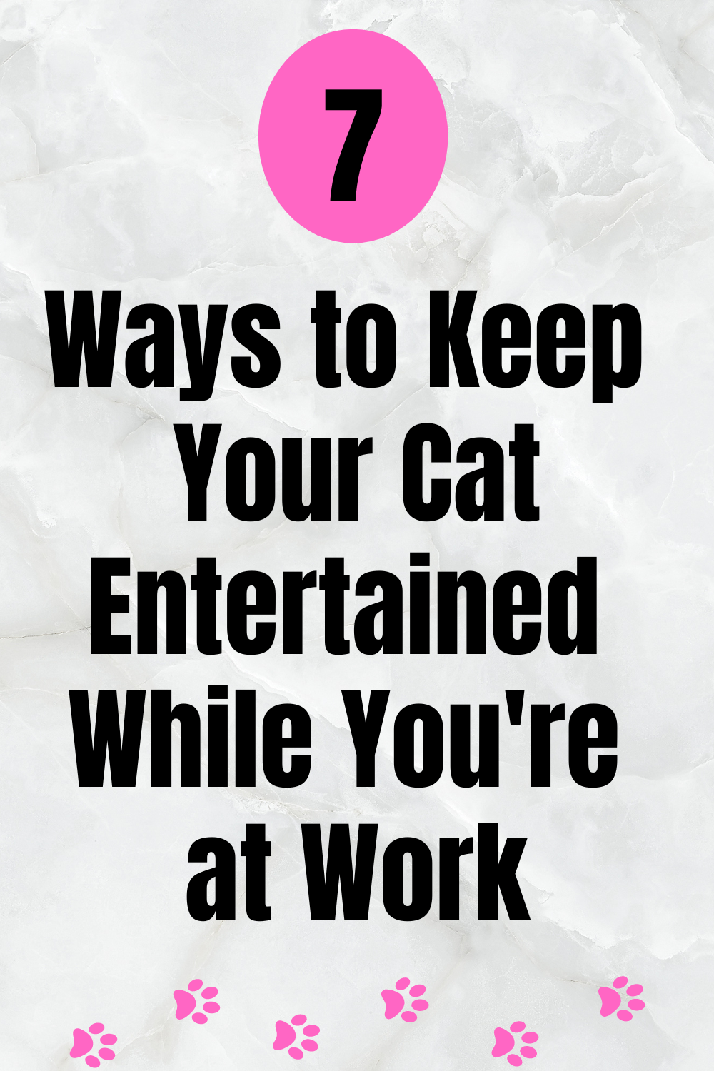 Keeping Pets Entertained While at Work Tips for Dogs & Cats