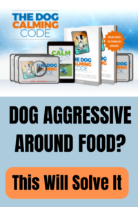 Dog Food Aggression Training