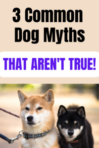 dog myths