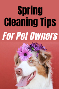 Spring Cleaning Tips for Pet Owners