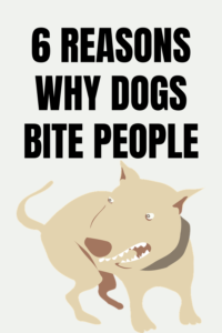 why do dogs bite people