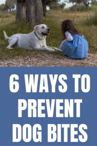 dog bite prevention tips