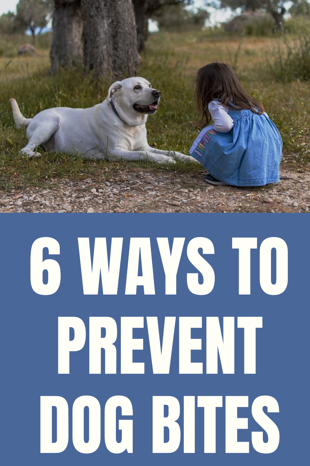 Dog Bite Safety for Kids 8 Tips and Reasons Why Dogs Bite