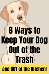 how to keep the dog out of the trash