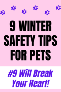 winter safety tips for pets