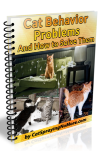 cat behavior problems ebook