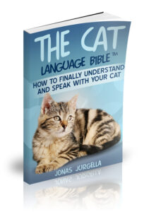 cat language bible