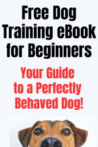 free dog training ebook for beginners
