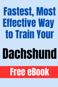dachshund training ebook