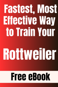 rottweiler training ebook