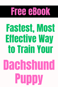 dachshund puppy training ebook