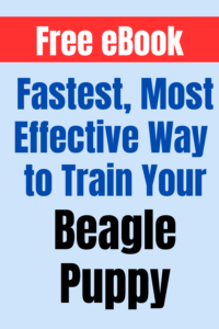 beagle puppy training ebook